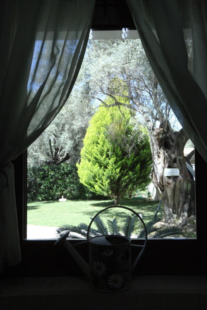 Olivastro Villa Lefkáda Exteriér fotografie